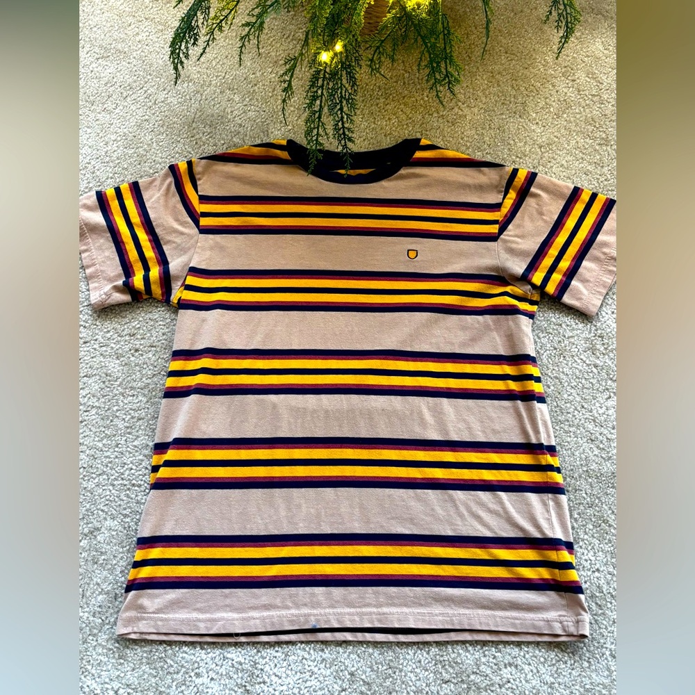 Brixton Striped Multicolor Men's t shirt